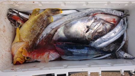 海皇丸 釣果