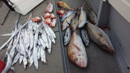 海皇丸 釣果