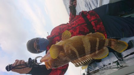 だて丸 釣果