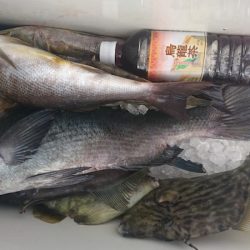 しば渡船 釣果