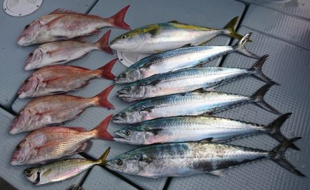 遊漁船 家入 釣果