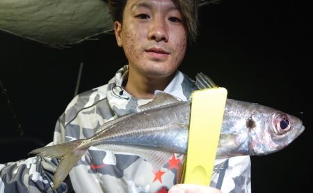 シースナイパー海龍 釣果