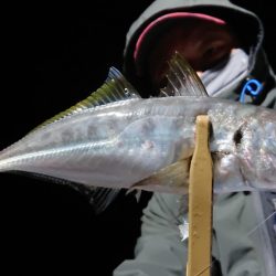 シースナイパー海龍 釣果