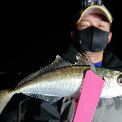 シースナイパー海龍 釣果
