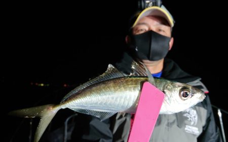 シースナイパー海龍 釣果