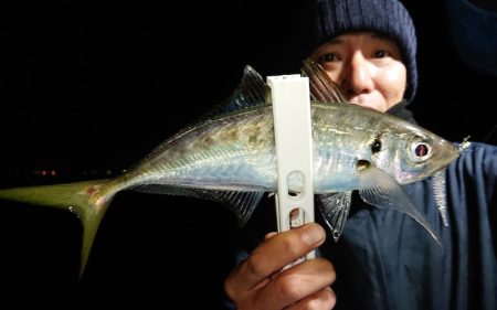 シースナイパー海龍 釣果