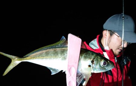 シースナイパー海龍 釣果