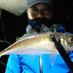 シースナイパー海龍 釣果