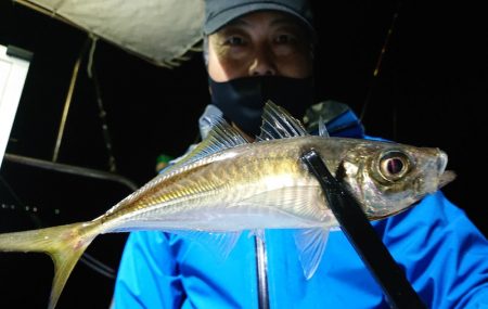 シースナイパー海龍 釣果