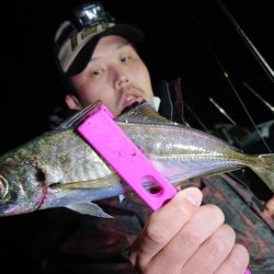 シースナイパー海龍 釣果