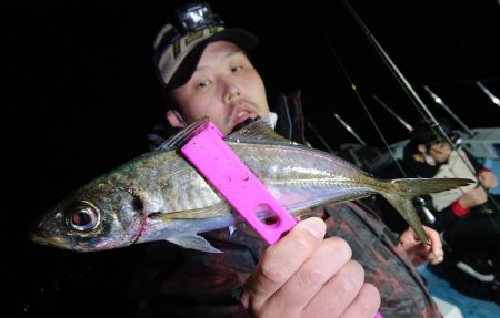 シースナイパー海龍 釣果