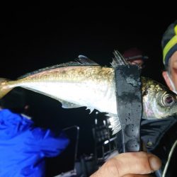 シースナイパー海龍 釣果