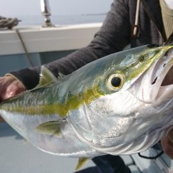 遊漁船 家入 釣果