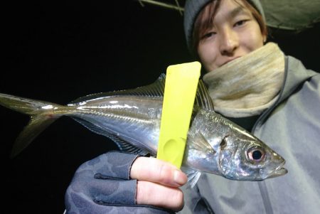 シースナイパー海龍 釣果