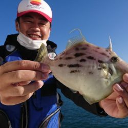 遊漁船 家入 釣果