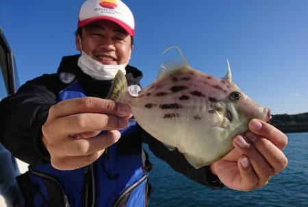 遊漁船 家入 釣果