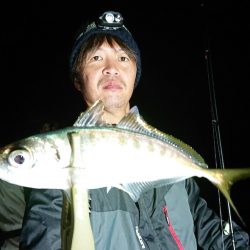 シースナイパー海龍 釣果