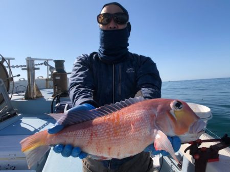 第二八坂丸 釣果