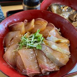 「LaGooN」蒼陽丸 日和号 釣果