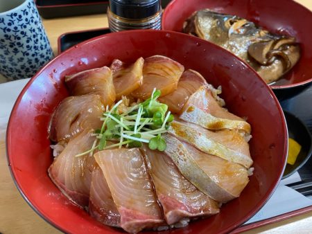 「LaGooN」蒼陽丸 日和号 釣果