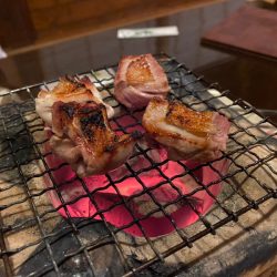 「LaGooN」蒼陽丸 日和号 釣果