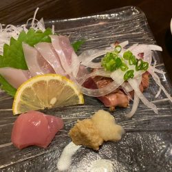 「LaGooN」蒼陽丸 日和号 釣果