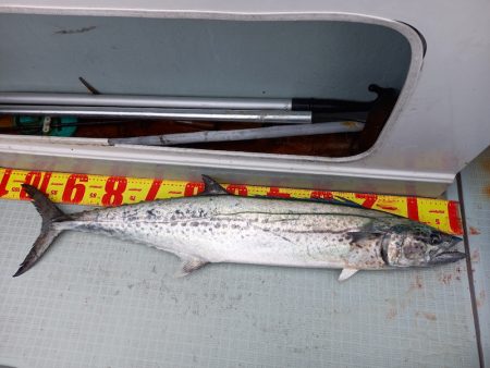 アマテラス 釣果