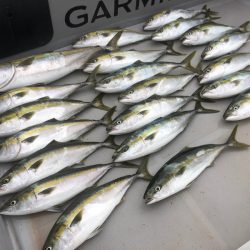 Chase(チェイス) 釣果