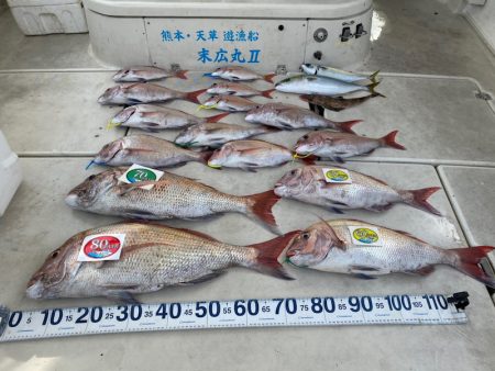 末広丸(熊本) 釣果