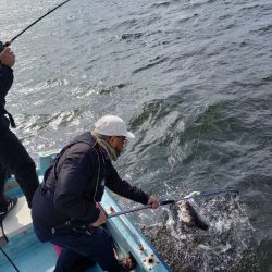 アマテラス 釣果