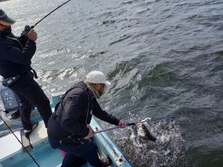 アマテラス 釣果