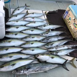 エムズジャーク(M’s JERK) 釣果