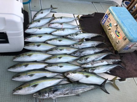 エムズジャーク(M’s JERK) 釣果