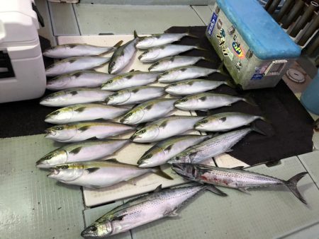 エムズジャーク(M’s JERK) 釣果