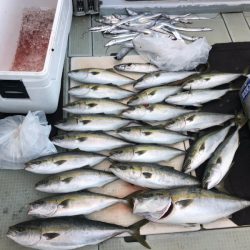 エムズジャーク(M’s JERK) 釣果