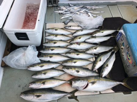 エムズジャーク(M’s JERK) 釣果