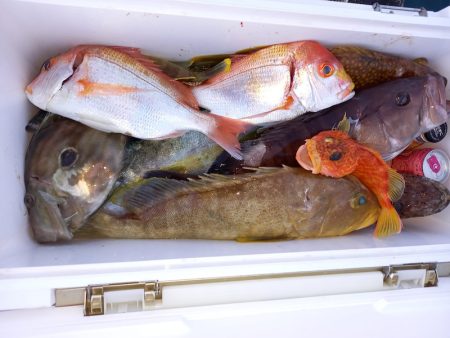 第二龍勢丸 釣果