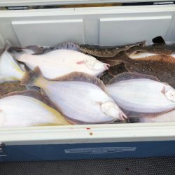 第二　つれたか丸 釣果