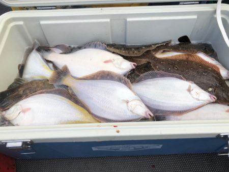 第二　つれたか丸 釣果