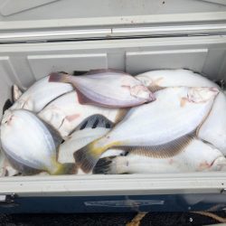 第二　つれたか丸 釣果