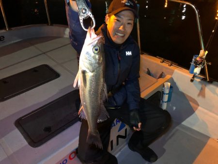 Chase(チェイス) 釣果