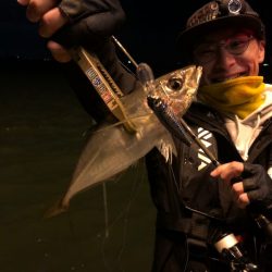 Chase(チェイス) 釣果