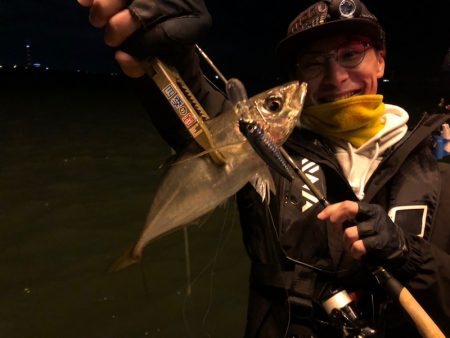 Chase(チェイス) 釣果