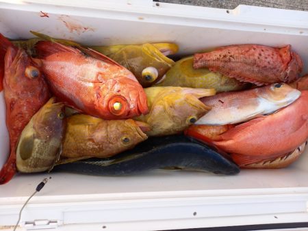 第二龍勢丸 釣果