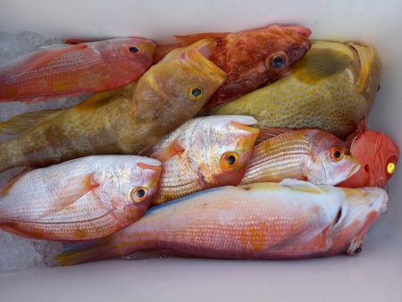 第二龍勢丸 釣果