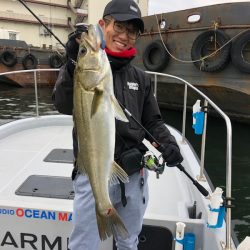 Chase(チェイス) 釣果