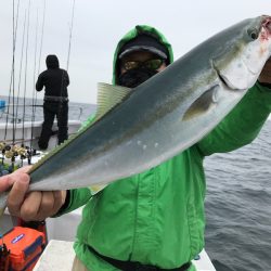 ランスルー 釣果