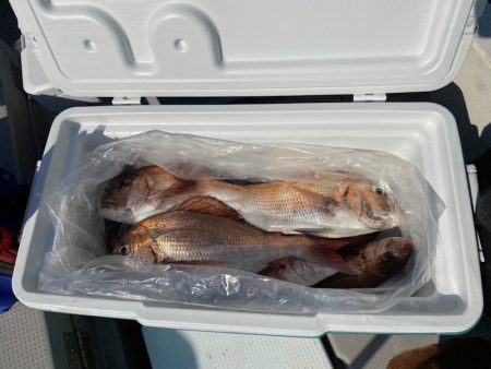 遊漁船ブルーウッズ 釣果