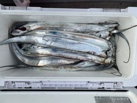 SeaRide(シーライド) 釣果