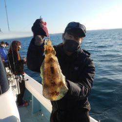 きずなまりん 釣果